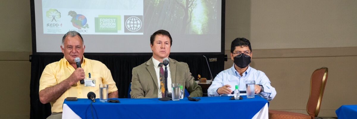 Intercambio Regional/Internacional: Buenas prácticas e iniciativas avanzadas del proceso REDD+