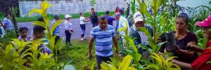 Cambio climático, bosques comunales y REDD+ para Guatemala