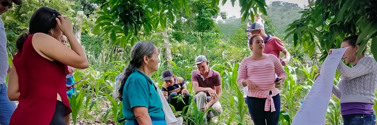 Agricultura ecológica: Una alternativa de adaptación para familias indígenas y campesinas de Copan Ruinas