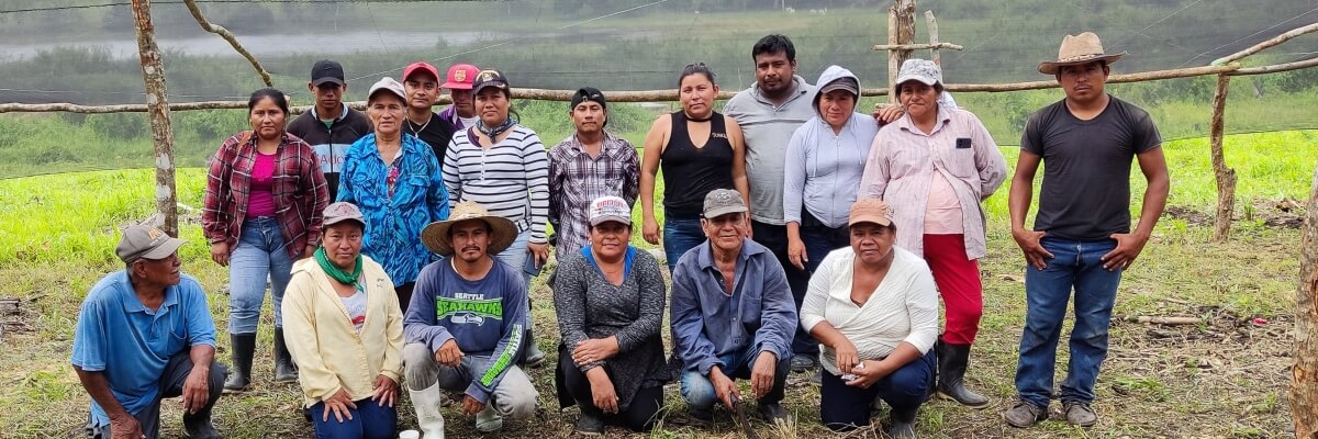 Vivero agroforestal, para la producción de plantas en la Unión Laguna Perdida