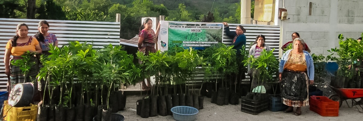 Entrega de plantas para el fortalecimiento de Sistemas Agroforestales en San José Poaquil, Chimaltenango, Guatemala