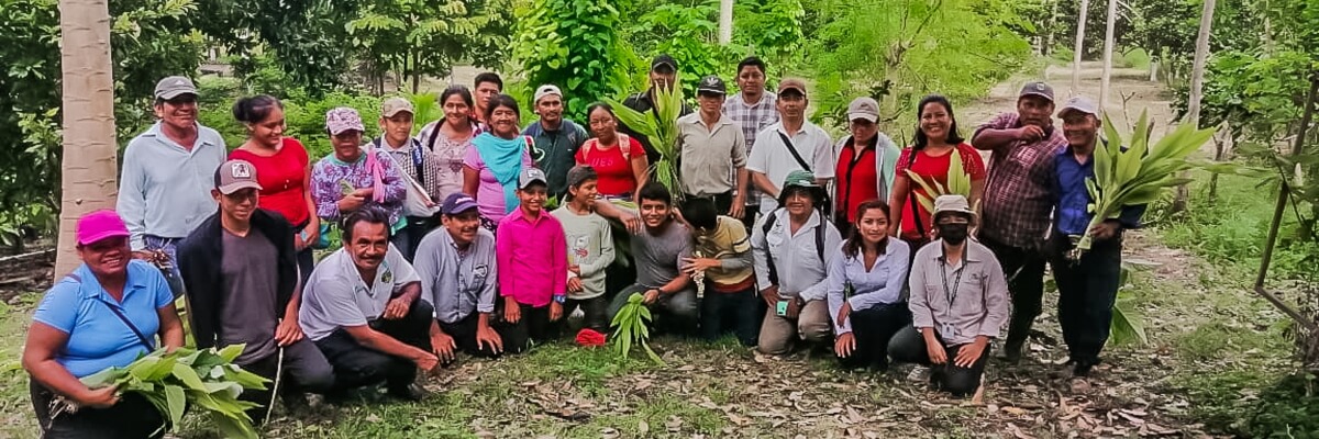 Intercambio de experiencias para el manejo de Sistemas Agroforestales, en el Municipio de Flores, Peten, Guatemala