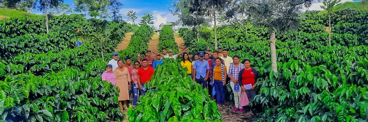 Taller de capacitación sobre administración de fincas y sus elementos en el municipio de Campamento, Olancho, Honduras