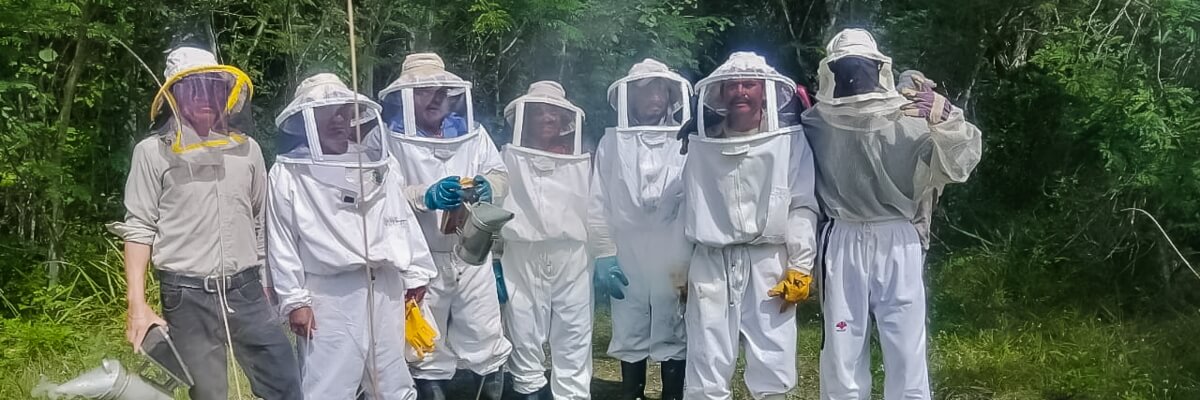 Cooperativa Nuevo Campeche visita apiarios en el departamento de Petén