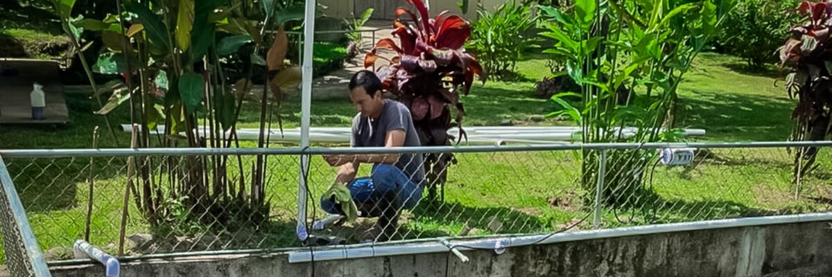 Indígenas Malecu realizan mejoras en los estanques para la producción de piscicultura