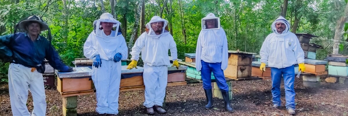 Visita y revisión de colmenas en el marco del subproyecto Rescate y fomento de la apicultura tropical