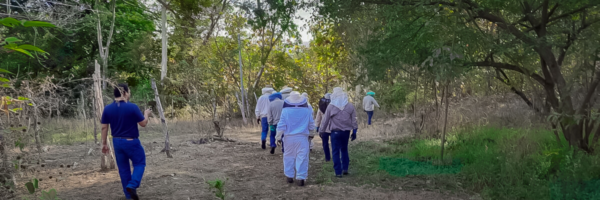 Chalatenango El Salvador sede de intercambio de experiencias en apicultura