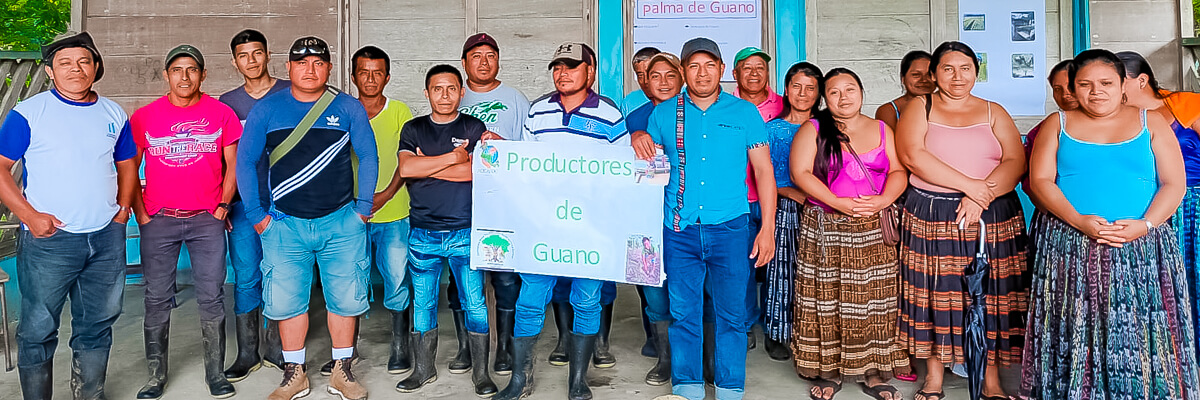 Fortalecimiento de capacidades para el aprovechamiento del guano en Livingston Guatemala