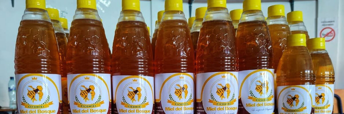 Apicultores de Sayaxché cosechan miel ecológica y abren nuevas oportunidades de negocio