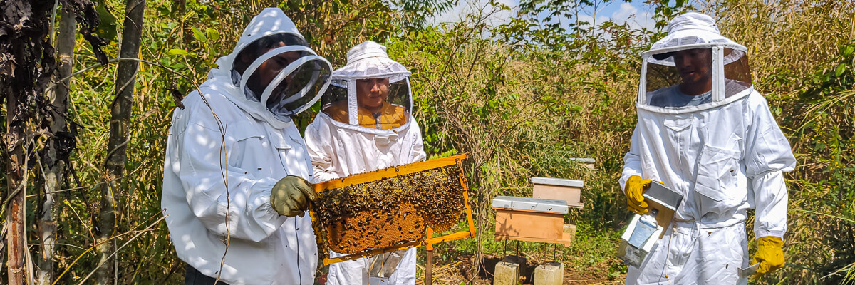 Visita de seguimiento del proyecto PAICC en Sayaxché evidencia compromiso de productores apícolas