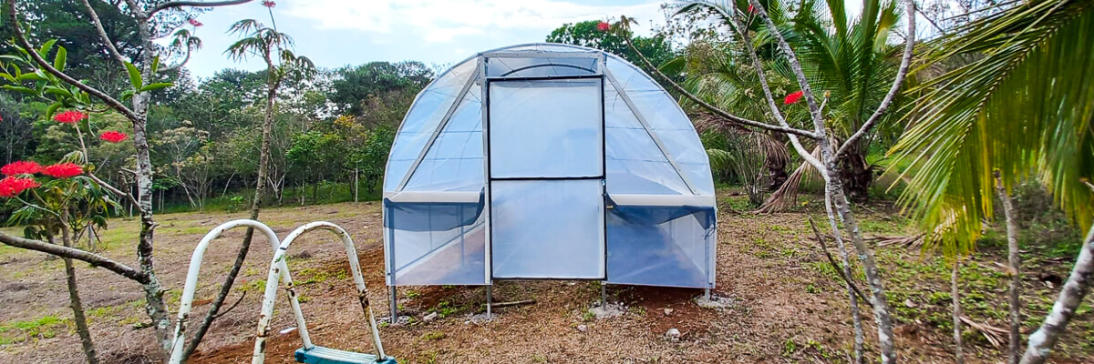 REDMUCH implementa secadoras solares para fortalecer la cadena de procesamiento y comercialización del cacao en Honduras