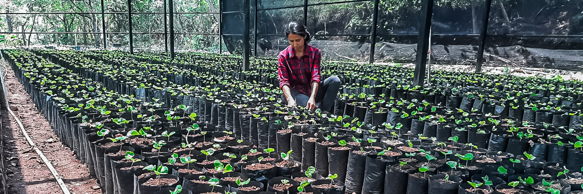 Proyecto agroecológico en El Salvador busca mejorar la producción de café y promover la conservación de recursos naturales