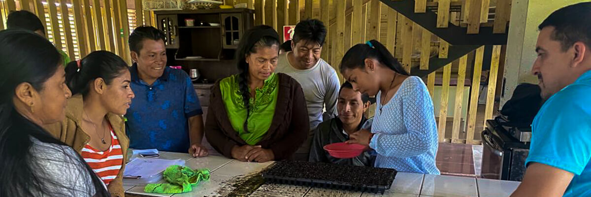 Capacitación práctica en la elaboración de almácigos beneficia a la comunidad indígena de Turrialba