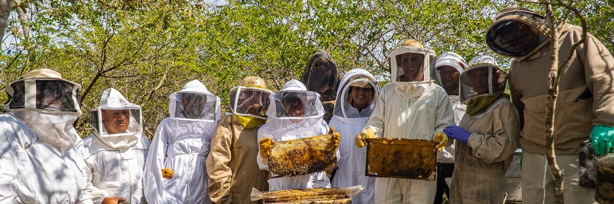 Visita al apiario y planta de procesamiento de ACOPIDECHA promueve el intercambio de conocimientos en el Encuentro Regional Apícola
