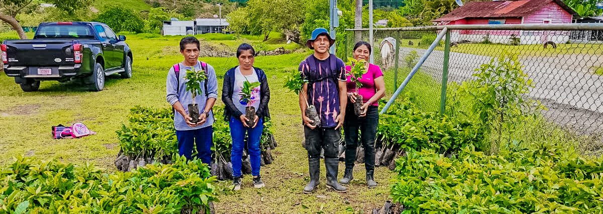 Promoviendo la agrobiodiversidad en Chirripó: ADIRICH entrega plantas de café y aguacate a comunidades indígenas
