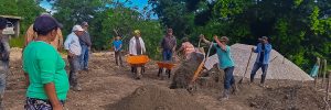 Éxito en Petén: Implementación de Sistemas Agroforestales para la Preservación de Bosques