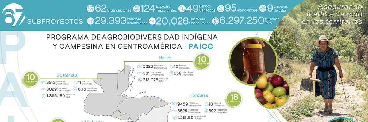 Programa PAICC en Centroamérica: Conservación de la Agrobiodiversidad y Prosperidad para Comunidades Indígenas y Campesinas.