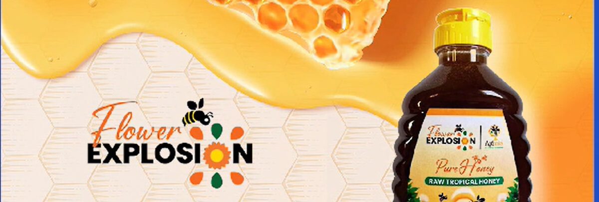 ACOPIDECHA conquista el mercado estadounidense con su miel salvadoreña