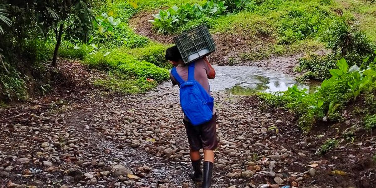 ADITIBRI: Proyecto de Reforestación en Zonas Degradadas de Talamanca
