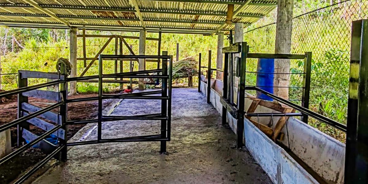 Lombrika La Amistad: Un proyecto de lombricompost que transforma vidas y cuida el ambiente en Altamira de Biolley