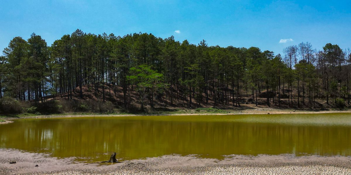 Comunidades de San Luis Jilotepeque demarcan bosques para su conservación