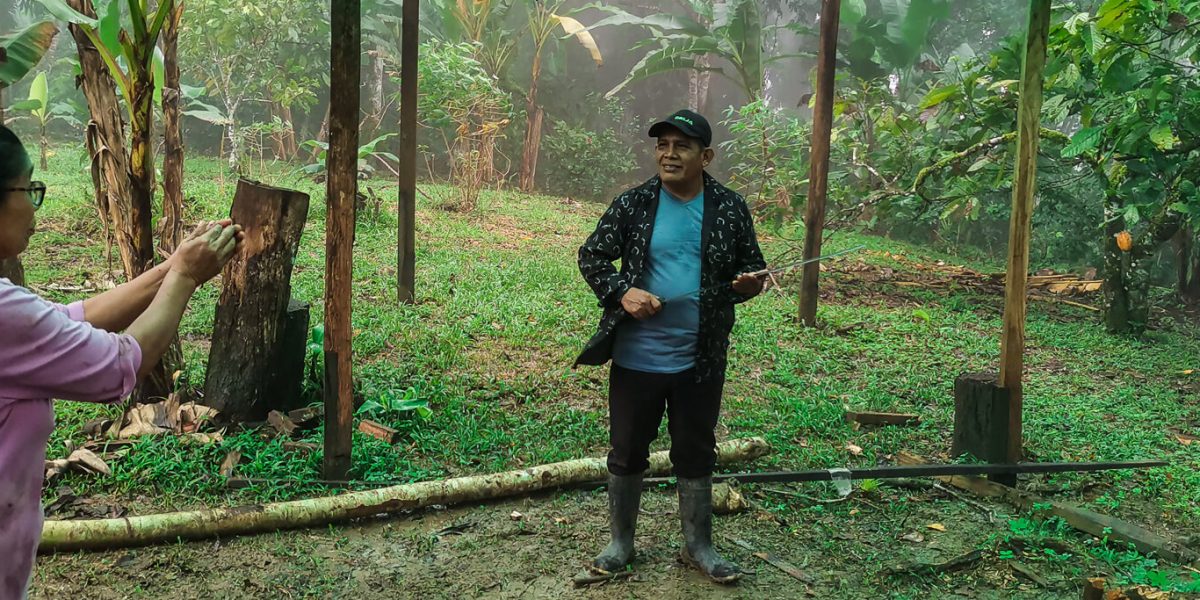 AMAAR impulsa la reforestación con la creación de 11 viveros forestales