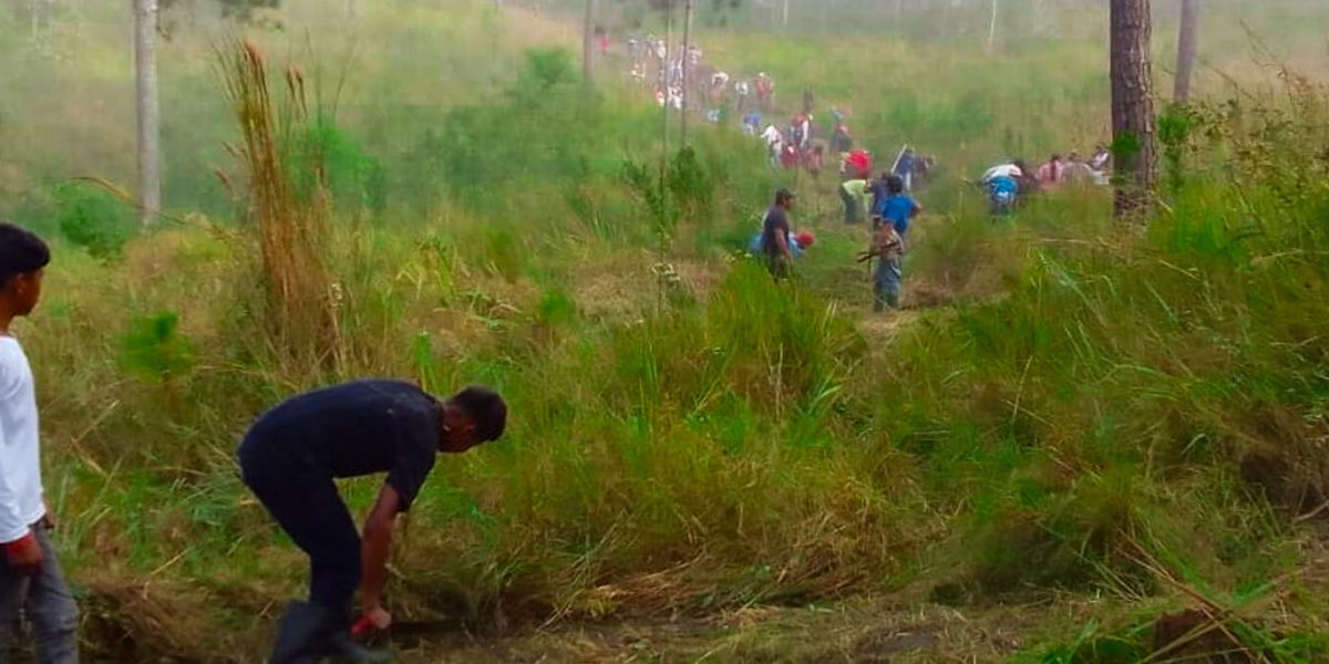 Pueblo Nuevo Subirana: La comunidad indígena Pech que defiende sus bosques frente a los incendios forestales