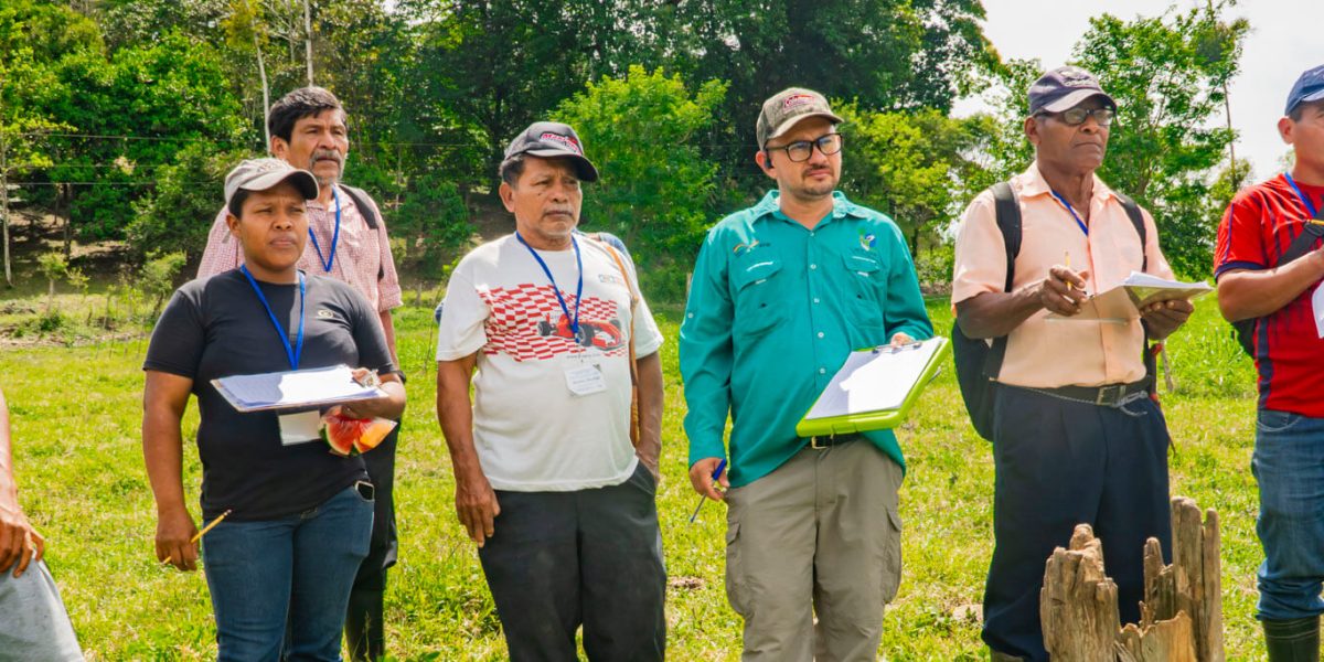 Taller de Ganadería Regenerativa avanza con práctica de campo, en Talamanca