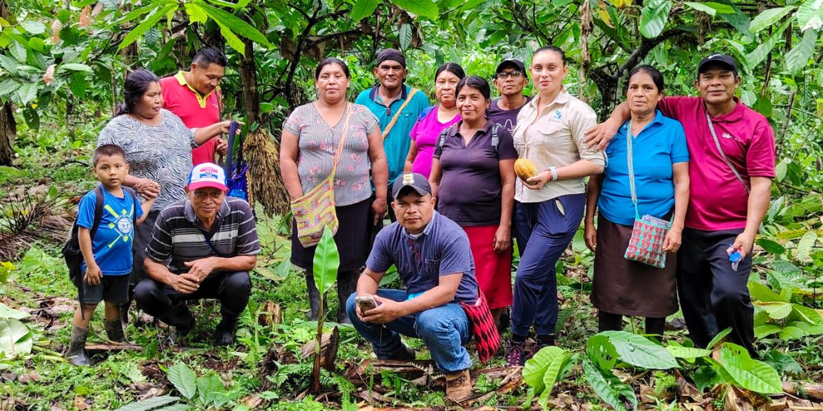Transparencia y compromiso en la restauración de paisajes agrodiversos en territorio Ngäbe