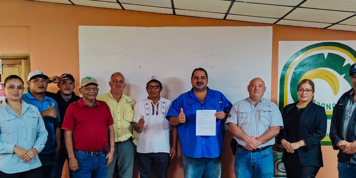 ACICAFOC y COOBANA fortalecen su alianza con una jornada de rendición de cuentas y planificación conjunta