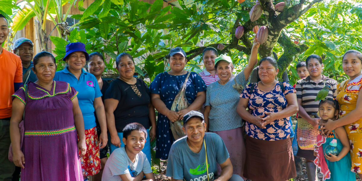 Mujeres de Valle de Risco fortalecen sus capacidades en injertación de cacao para mejorar la producción y calidad
