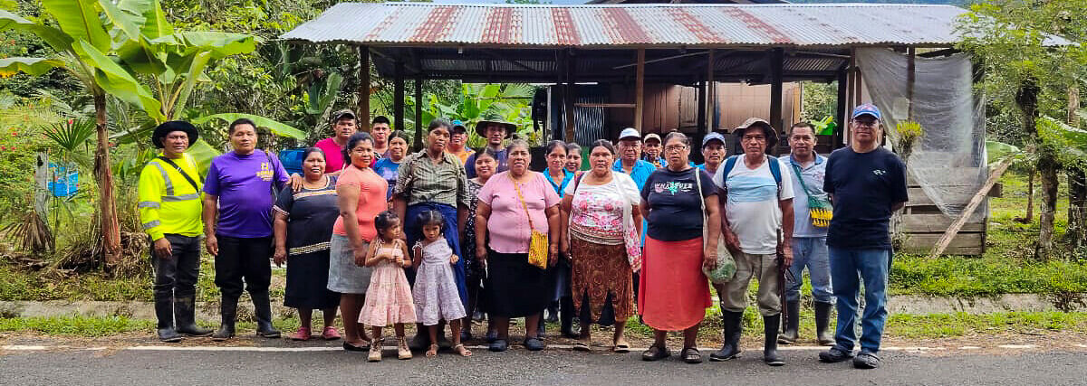 Productores de ASAFRI aprenden a injertar cacao y avanzan hacia una producción más sostenible
