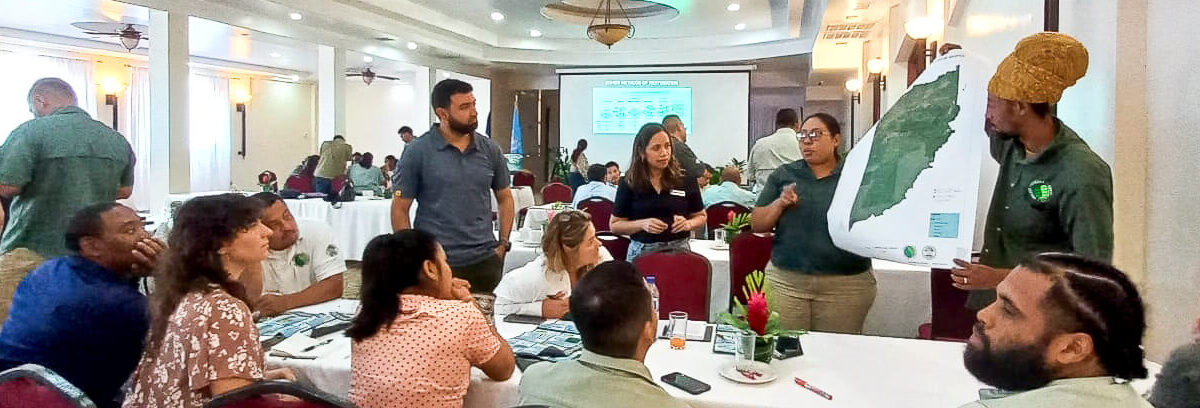 ACICAFOC participa en sesión de la Iniciativa Nacional de Restauración “Greening Belize”