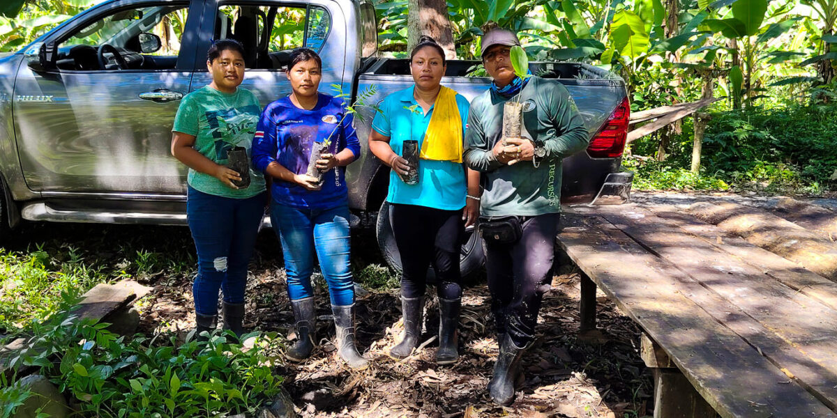 Reforestación en Talamanca: beneficiarios reciben más de 3.000 plantas para recuperar áreas degradadas
