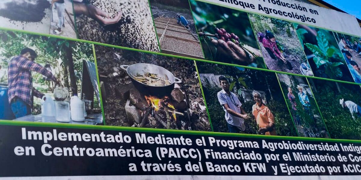 Cuatro años después, inversión en procesamiento de café continúa generando impactos positivos en San Fernando