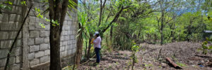 Programa Comunidades Vivas fortalece la educación ambiental en el Centro Escolar de la Comunidad Isla El Jobal