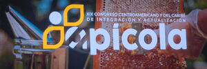 Comité del Subproyecto Bribri fortalece capacidades para avanzar en la implementación del Programa Comunidades Vivas