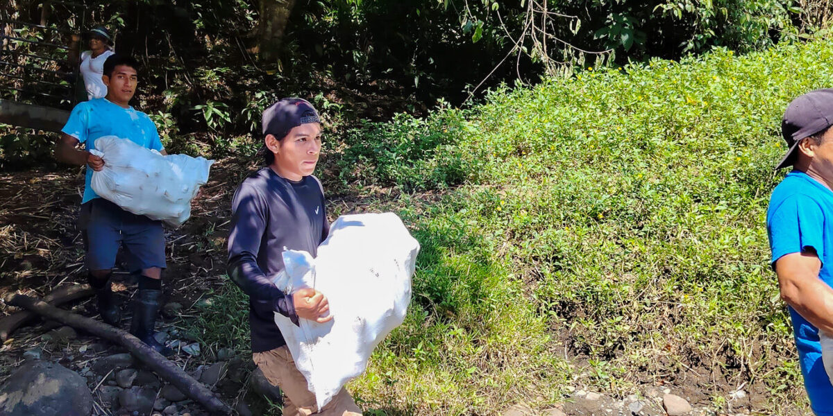Primera entrega de semillas de plátano fortalece la producción y seguridad alimentaria en el Territorio Indígena Bribri de Panamá