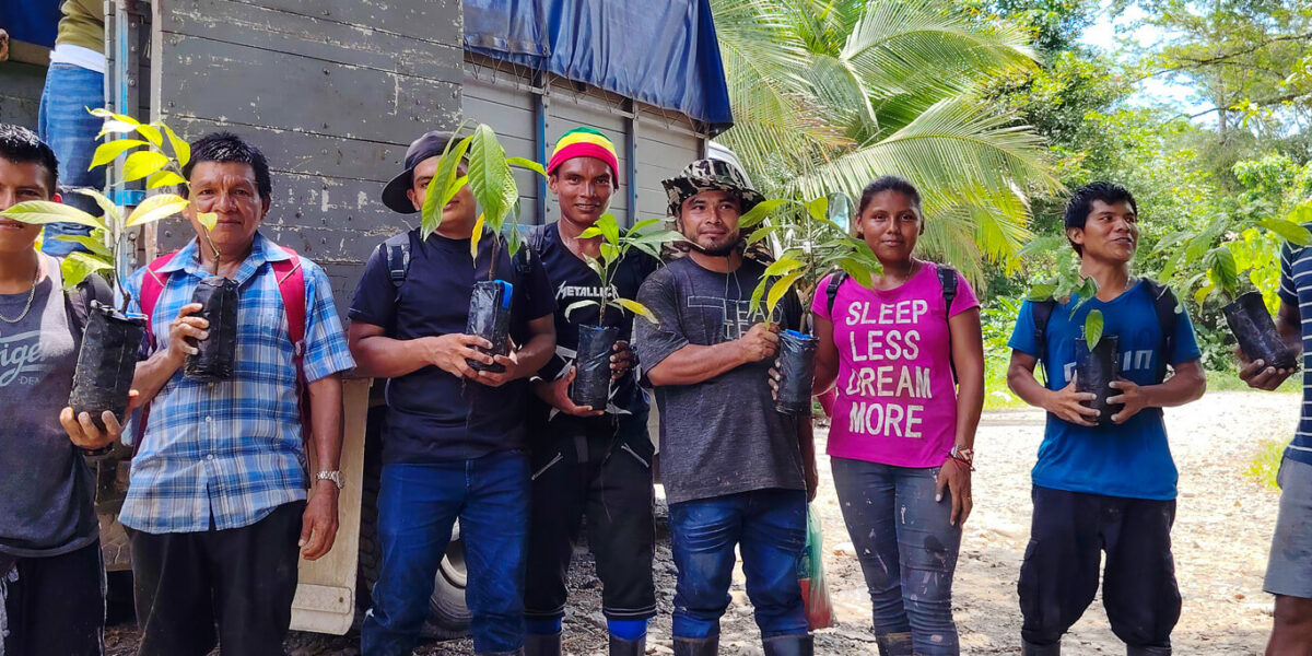 Familias Bribri reciben 1,375 plantas de cacao para fortalecer la Producción Sostenible en el territorio