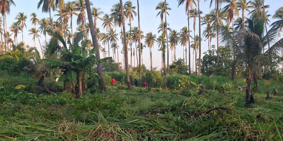 Comunidad fortalece acciones de conservación y restauración en Isla Espíritu Santo, El Salvador
