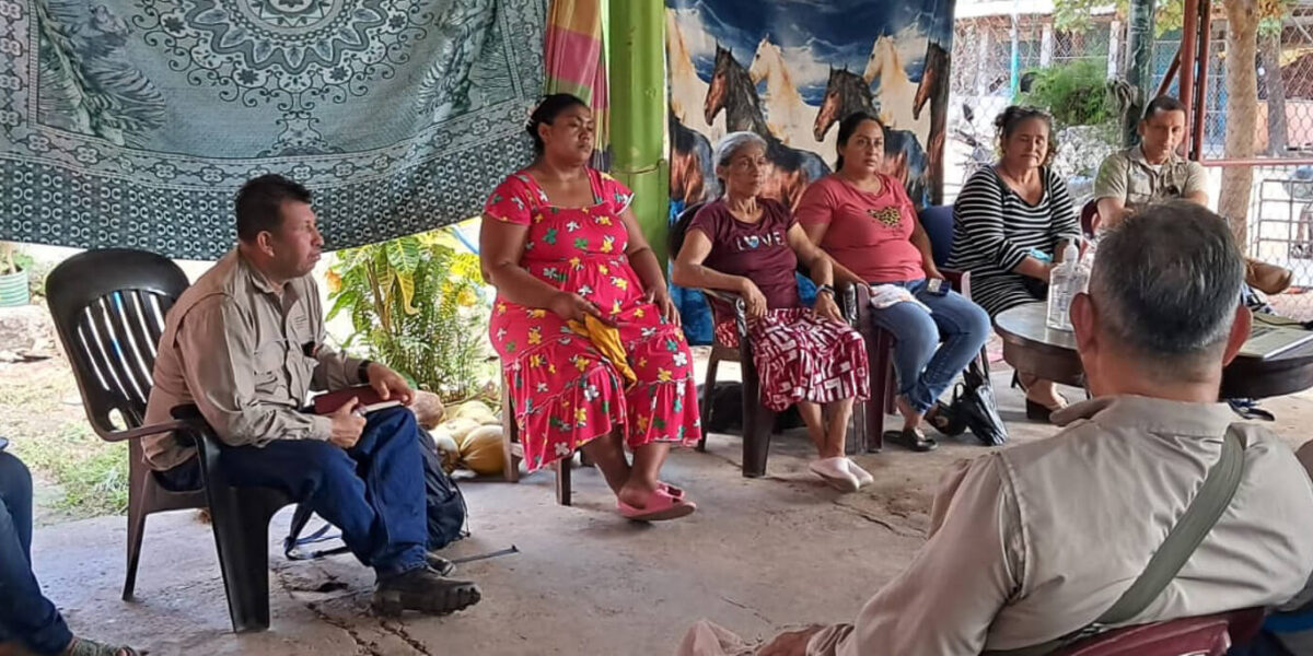 Fortaleciendo la conservación y el manejo sostenible del bosque de mangle en Isla Espíritu Santo