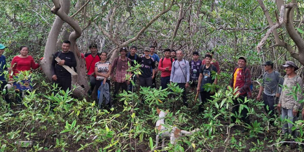 La comunidad de Isla Espíritu Santo fortalece su compromiso con la conservación de los manglares