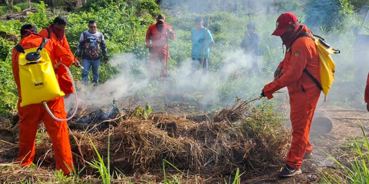 Comunidades Vivas fortalece las capacidades comunitarias para la prevención de incendios