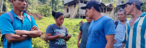 Jóvenes se capacitan en el Reglamento EUDR y trazabilidad de café y cacao en Honduras